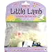Pull-the-tab Cloth Book: A Pull-the-tab Cloth Book (Little Lamb)