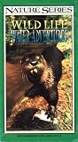 Nature Series: Wildlife Water Adventures.