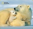 Handstands National Geographic Mother Bear Mouse Mat