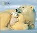 Handstands National Geographic Mother Bear Mouse Mat