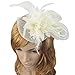 Coolr Women's Fascinators Hat Small Hairpin Feather Mesh Flower Hairclip (Beige)