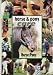 Horse and Pony Care ("Horse & Pony" Magazine Library)