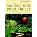 Feng Shui Praxisbuch. Fern�stliche Lebenskunst f�r den Alltag