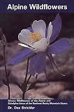 Alpine Wildflowers