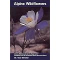Alpine Wildflowers