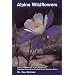 Alpine Wildflowers