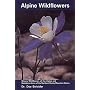 Alpine Wildflowers