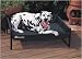Pet Supplies : Petmate Durabed - Large Hunter Green
