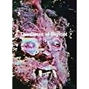 Curse of Bigfoot horror