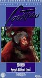 Borneo