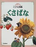 くさばな (ふしぎ・びっくり!?こども図鑑 (第6巻))の画像
