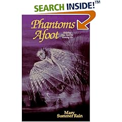 Phantoms Afoot: Helping the Spirts Among Us (No-Eyes)