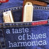 In the Pocket: a Taste of Blues Harmonica