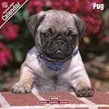 Eigenschaften Avonside Publishing Ltd.  / Kalender 2009 Pug - Mops