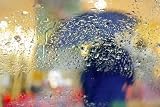 Silhouette of a Person with Umbrella through Wet Windshield. - 18"W x 12"H - Peel and Stick Wall Decal by Wallmonkeys