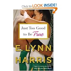 Just Too Good to Be True: A Novel