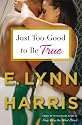 Just Too Good to Be True: A Novel