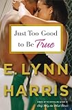 E. Lynn Harris - Just Too Good to Be True: A Novel