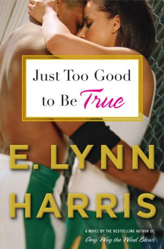 Just Too Good to Be True: A Novel