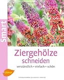 Produkt-Bild: Ziergeh&ouml;lze schneiden: Verst&auml;ndlich, einfach, sch&ouml;n