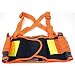 Neon Back Support Belt Large
