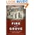 Fire in the Grove: The Cocoanut Grove Tragedy and Its Aftermath