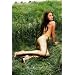 Megan Fox 24X36 Poster - Very Hot - New! - Buy Me! #40