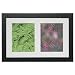 Home 2-Opening Jackson Frame - Black (8x10")