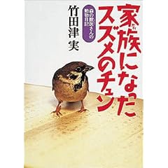 �Ƒ��ɂȂ����X�Y���̃`�����\�X�̏b�コ��̓������L
