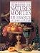 Search : Peintres des natures mortes en France au XIXe siècle