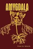 AMYGDALA