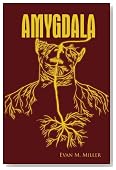 AMYGDALA
