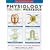 Physiology Colouring Workbook (Princeton Review)
