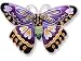 Clearly Charming Designer Butterfly Sterling Silver and Enamel Pin