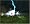 Neverwinter Nights 2