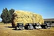 Haystack and Old Cars, 1940 Photograph - Beautiful 16x20-inch Photographic Print from the Library of Congress Collection