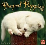Pooped Puppies 2007 Calendar: 16 Month Calendar