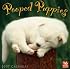 Pooped Puppies 2007 Calendar: 16 Month Calendar