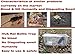 HUA Rat Trap Bottle for Skunk & Squirrel and Similar-size Animals,easy to Use, Isolate Bacteria,No Blood No Disgusting Smell