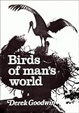 Birds of man's world