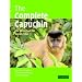 Primatology