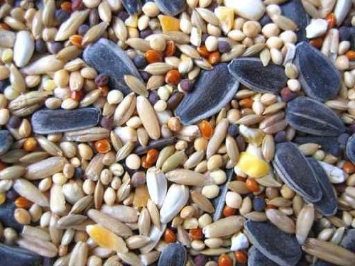 Cockatiel Seed Mix - 18