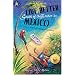 Gringo Lit: Foreigner Writers Do Mexico