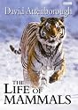 Life Of Mammals