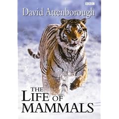 Life Of Mammals