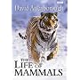 Life Of Mammals