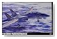 1/48F-14A �g���L���b�g (�����m���q��c)