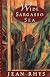 Wide Sargasso Sea