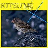 Kitsuné X