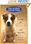 Animal Connection, The:  A Guide to Intuitive Communicationwith Your Pe